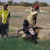 Schüler sammelten für Afrika-Projekt