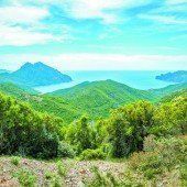 Die wunderbare Natur auf Korsika