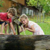 Pinke Neos wasserfest?