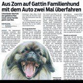 Hündlein überfahren