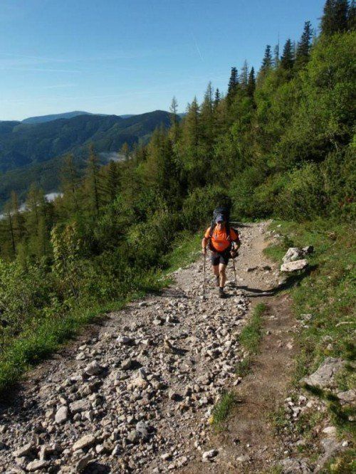 1200 km wird Kaufmann laufen.
