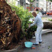Mehrere Tote nach Unwettern