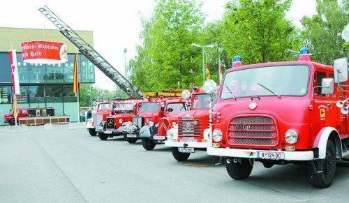 Auffahrt zum Vereinsjubiläum: In Hard am See erfolgt heute die Parade der feuerroten Raritäten.  Foto: ajk