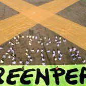 Greenpeace verzockt 3,8 Mill. Spendengelder