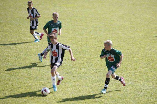 Das PG Mehrerau (in Grün) zog ins Halbfinale ein. Foto: schülerliga