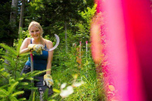 Der Waldpflege kommt große Bedeutung zu. Foto: VN/Hartinger