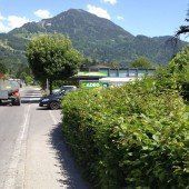 Eine Kreuzung erregt die Gemüter