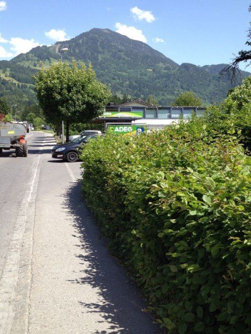 Die hohe Hecke schränkt die Sicht auf die L50 ein. Foto: ss  