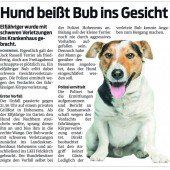 Die Frage der Verantwortung