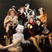 Im Zeichen des „Jellicle-Moons“