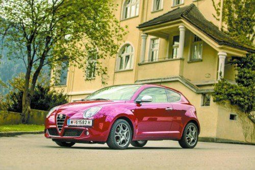 Ein echter Blickfang: Flott, reizend, charmant – das kleine „Alfa-Tier“ macht richtig an. Fotos: VN/Steurer