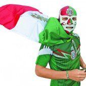 Fußball WM 2014. Die Bilder der Weltmeisterschaft