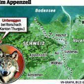 Der Wolf ist im Appenzell