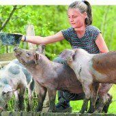 Perfektes Wetter für Anna Maria aus Andelsbuch und ihre Ferkel