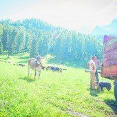 Genussurlaub in den Dolomiten
