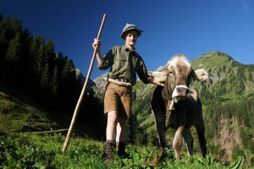 Johannes ist nun schon den dritten Sommer als Pfister auf der Alpe Oberschalzbach in Schoppernau.
Dort heißt es bei jedem noch so schlechten Wetter, auf 90 Stück Jungvieh aufzupassen, damit alle Mitte September gesund und wohlernährt ins Tal zurückkehren.