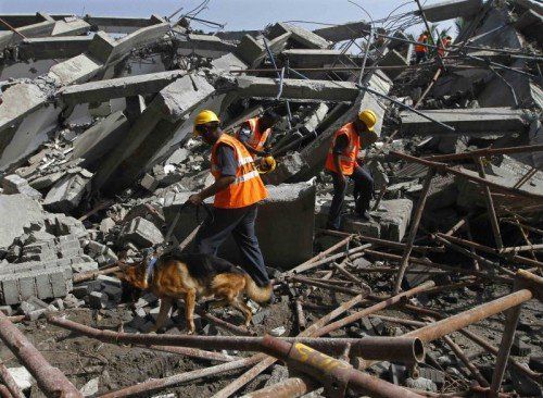 Rettungsleute suchen mit Hunden nach Überlebenden. Foto: AP