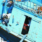 181 Tote auf einem Boot