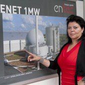 Wirtschaftspreisträger Entec Biogas beantragt Insolvenz: 4,9 Mill. Passiva