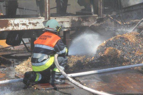 Die Feuerwehr konnte den Brand rasch eindämmen.  VOL.AT  