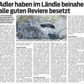 Knatternde Hubschrauber stören Ländle-Adler