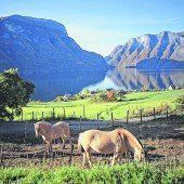 Auf dem Pferd durch Norwegen