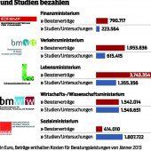 Regierung lässt sich teuer beraten