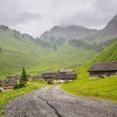 Den Alpsommer in Vorarlberg hautnah erleben