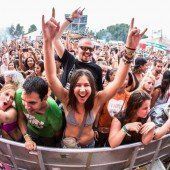 Festival-Sommer 2015