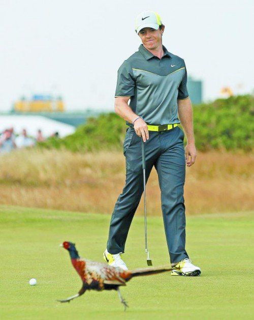 Vor dem Putt gab es Besuch vom Fasan – Rory McIlroy amüsierte das neugierige Federvieh. Foto: reuters
