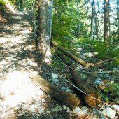 Klostertaler Bergwälder – Natura- 2000-Gebiet