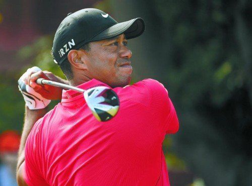 Zugpferd Tiger Woods. Foto: ap