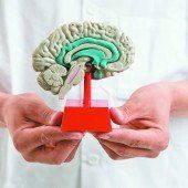 Belastung durch neurologische Erkrankungen unterschätzt