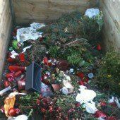 Richtig recyceln am Harder Friedhof