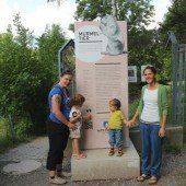 Neue Schilder informieren nun im Wildpark