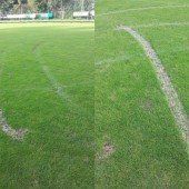 Vandalenakt auf FC-Platz