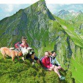 Schwindelfrei den Gipfelsieg genießen