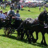 Rösslerfest in Möggers