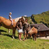 Sommerfreuden auf der Alpe
