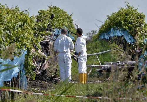 Für den Piloten, einen 65-jährigen Wiener, kam jede Hilfe zu spät.