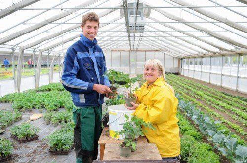 Lukas Breuß und Babette Lechner mit Tomatenjungpflanze einer alten Sorte im Biobetrieb „Sunnahof“ in Göfis-Tufers. Foto: LAND VORARLBERG