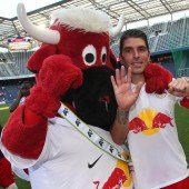 Salzburg-Express überrollte Grödig