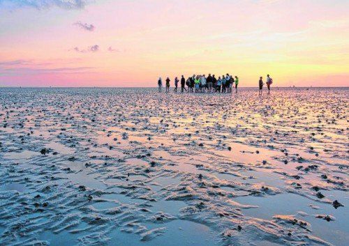 Unberührte Natur im niedersächsischen Wattenmeer. Fotos: Deutsche zentrale für tourismus