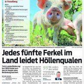 Grausame Foltermethoden