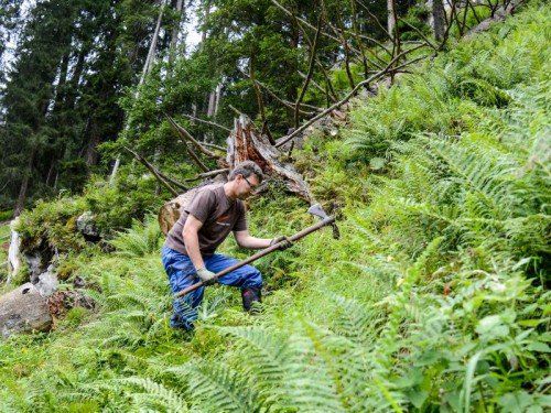 Waldpflege ist „in“. Vor allem für die Schutzwälder.  Foto: Lerch