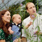 Prinz William und Kate erwarten zweites Kind