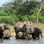 WWF warnt vor einem globalen Burn-out
