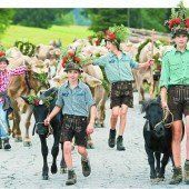 Der Alpsommer in Vorarlberg geht dem Ende zu