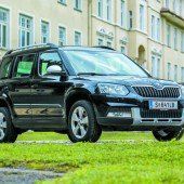 Robuster und trittsicherer Allrounder