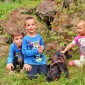 XL-Hundebaby Hugo auf Entdeckungstour im Hinterwald
